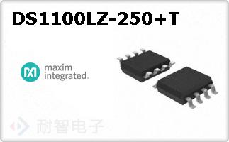 DS1100LZ-250+T