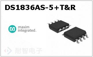 DS1836AS-5+T&R