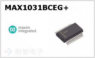 MAX1031BCEG+