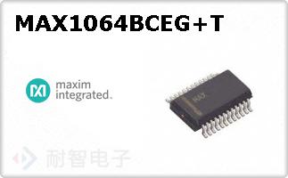 MAX1064BCEG+T