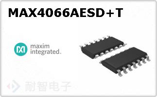 MAX4066AESD+T