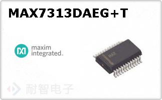 MAX7313DAEG+T